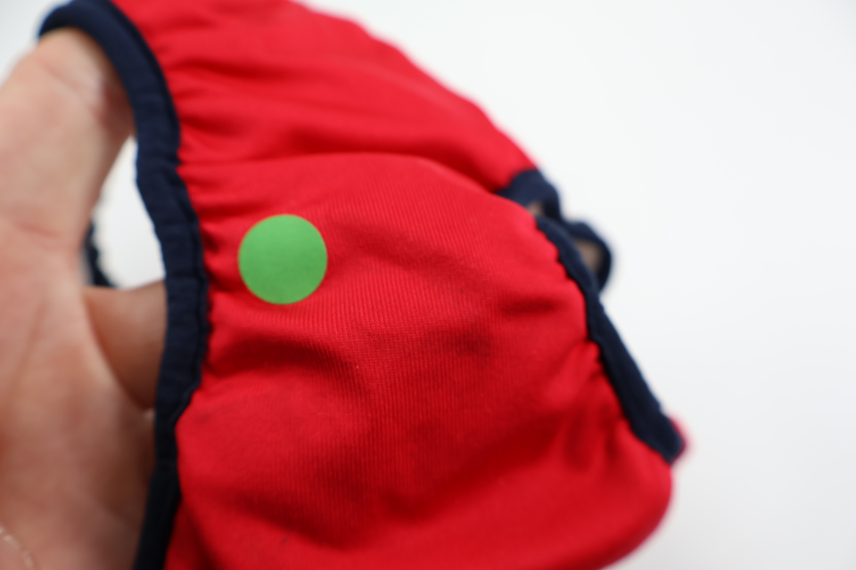 Swim diaper from Polarn o. Pyret - Size 86/92 - Red
